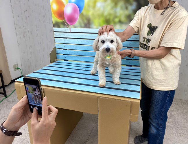 ワンショットスタジオ